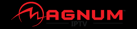 magnum-OTT Abonnement 12mois